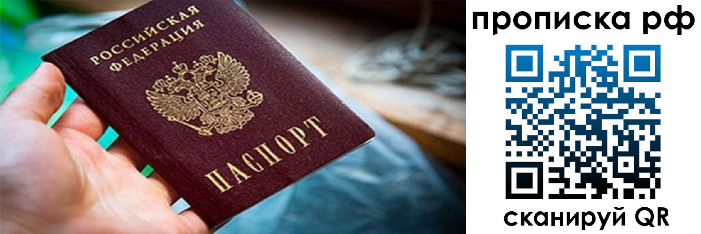 прописка для школы в Королёве